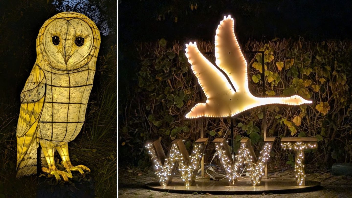 The Mystical Marsh Lantern Experience- WWT Slimbridge SEND Session